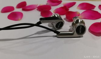 國產小美脈歌再推新作 MACAW RT 20單動圈Hi-Fi耳機，電子配件市場的璀璨明珠